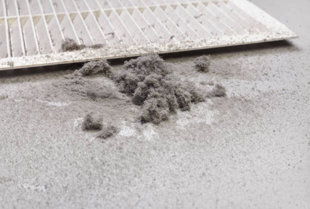 Best HVAC System Cleaning  in Amelia, LA