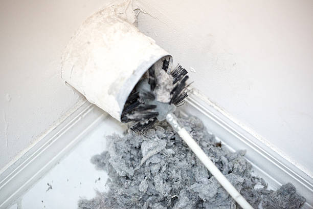 Best Dryer Vent Cleaning Services  in Amelia, LA